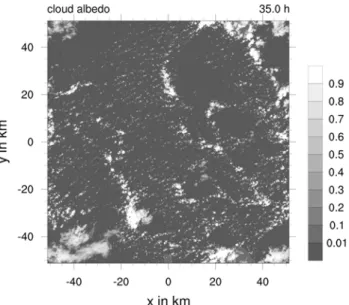 Figure 5 shows the result of such an LES of precipi- precipi-tating shallow cumulus clouds on a domain of 100 km × 100 km with an isotropic grid spacing of 25 m