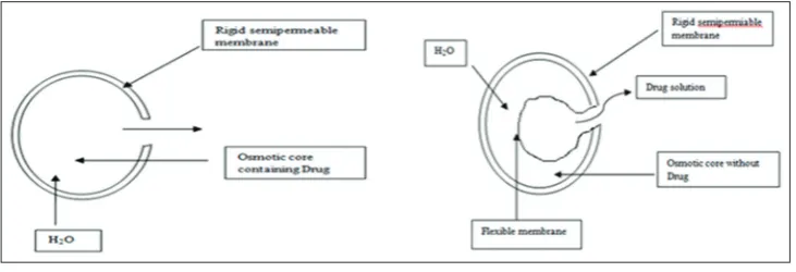 Fig. 5: (a) Single bead-type device with alternating drug and rate-controlling layers; (b) beads containing drug with differing thickness of dissolving coats