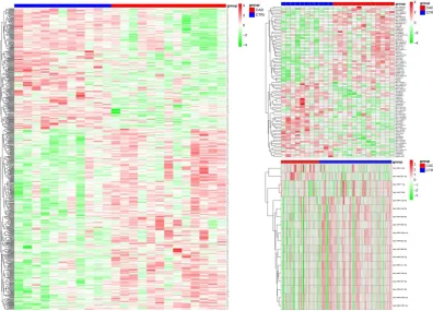 Figure 1. Heat map: Note: miRNA, lncRNA, and mRNA are presented from 