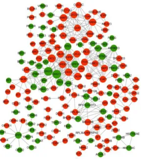 Figure 4. Protein interaction relationship network diagram (PPI). Note: red 