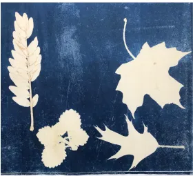 Figure 13: Leaf Impression  