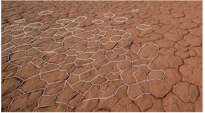 Figure 1: The Voronoi Pattern occurs naturally in cracked mud.
