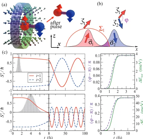FIG. 1. (Color online) (a) Spin dynamics is excited by a transverse