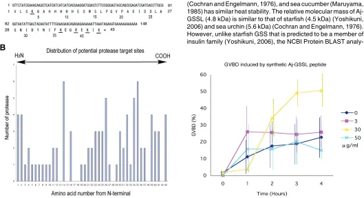 Fig. 5 (Left). Sequence analysis of the 43-amino acid peptide. with underlined characters