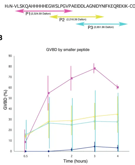 Fig. 7. A shorter amino acid sequence that holds germinal vesiclebreakdown (GVBD) inducing activity at 30 acid