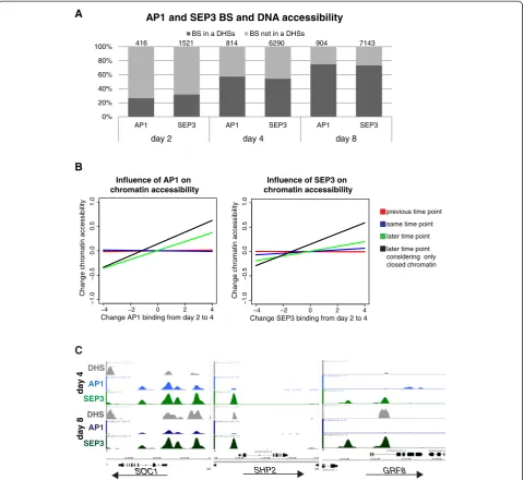 Figure 6 MADS-domain TF binding determines chromatin accessibility changes. (A) Overlap between AP1- and SEP3-bound genomicregions and DHSs at the different time-points after floral induction