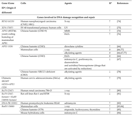 Table 1. Effect of overexpression of stress responsive genes on resistance to genotoxic agents in vitro 