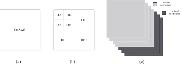Figure 1: (a) An image and its, (b) wavelet transform, (c) discrete wavelet frames