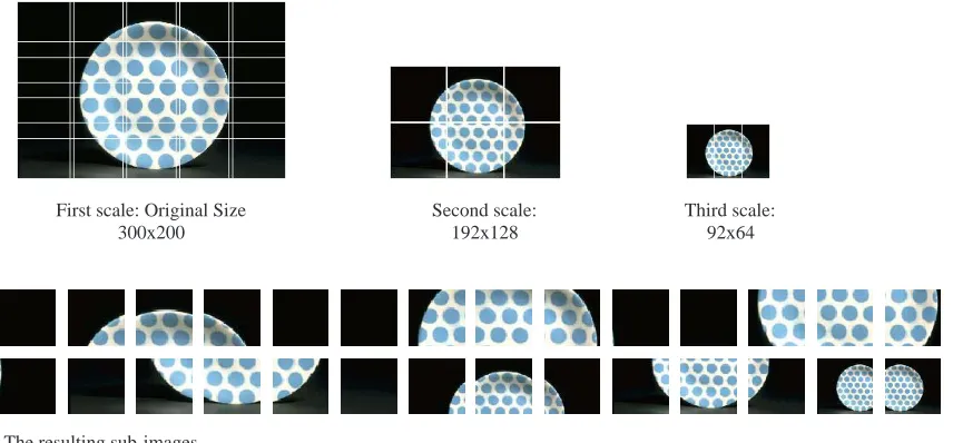 Figure 2. Example of sub-image tiling.