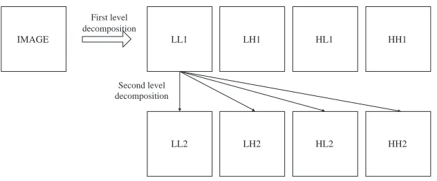 Figure 5. DWF decomposition of an image.