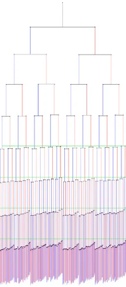 Figure 5. Average lineage showing old pole eﬀect on growth rate, from E. J. Stewart et al