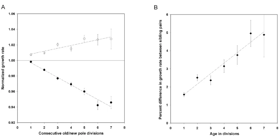 Figure 6. The eﬀects of consecutive divisions as an old or new pole on growth rate, from E.J
