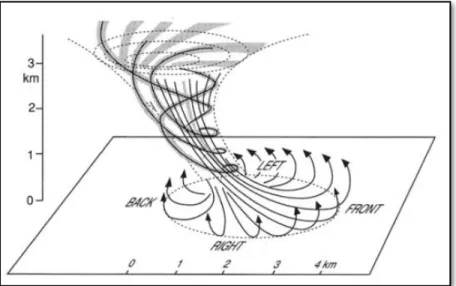 Fig.  2.3.  Three-dimensional  visualization  of  a  downburst.  From  Wakimoto  (2001),  which  was  adapted from Fujita (1985)