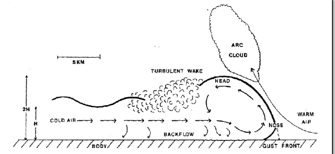 Fig.  2.6.  Schematic  of  a  vertical  cross  section  through  a  mature  thunderstorm  outflow