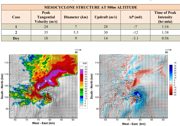 Table 2.  Simulated Mesocyclone Characteristics at Time of Peak Intensity. 