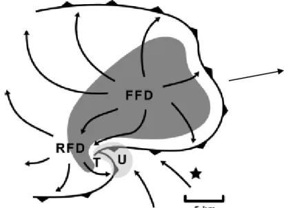 Figure 1.  Schematic representation of supercell thunderstorm adapted from the conceptual model presented  by Lemon and Doswell 2 