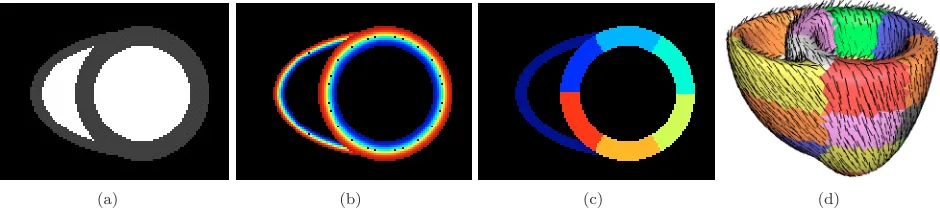 Figure 1. Generic anatomical heart model: equatorial short axis slice of (a) geometry, (b)ﬁbres orientation (elevation angle), (c) AHA division