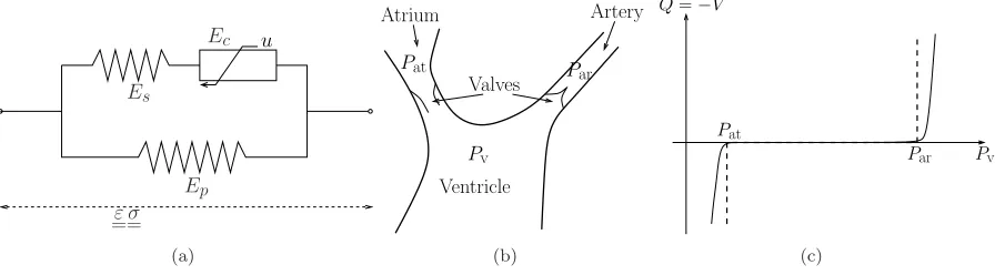 Figure 2. (a) Hill-Maxwell rheological model. (b) Aortic valve model mechanism. (c) Formu-lation as a double contact problem, dashed: relation (2), solid: regularised.