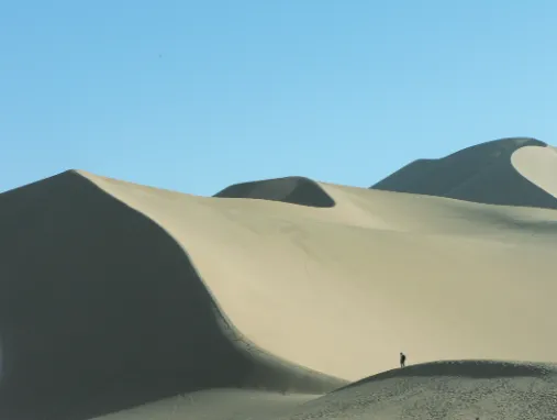Fig. 2. Sand dune as an example of pattern formation in non-livingsystems.(this issue)