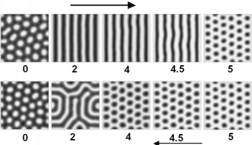 Fig. 7. [HpH [from (LeeSOunstirred reactor; light stripes correspond to low pH, black stripes to highwith radius labyrinthine pattern [from (Vanag and Epstein, 2007)]