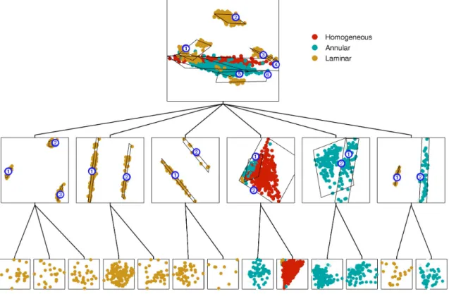Fig. 6. Results of fitting the oil data. Colors denote different multiphase flow configurations corresponding to homogeneous (red), annular (blue), and laminar (yellow).