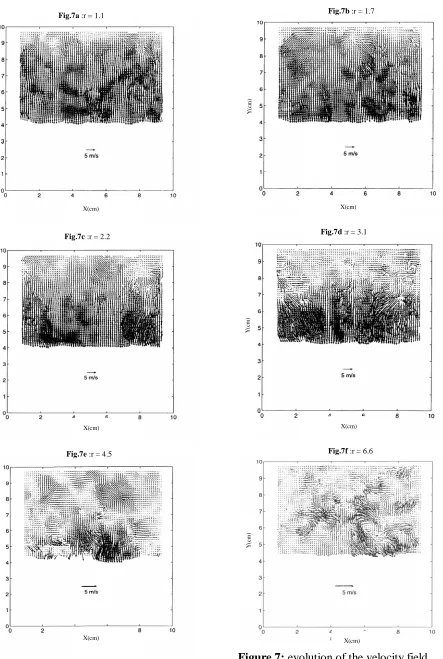 Figure 7: evolution of the velocity fieldduring a compression (laser sheet 2)
