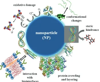Table 1 Main forces at the nano-bio interface (26)