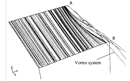 Fig. 7 – Sreamlines over roof, for α = 10°.      Only half body is represented.