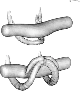 Fig. 9. Computational results showing the azimuthal vorticity generation within the columnar vortex due tothe velocity generated by the vortex loop legs using an axisymmetric model