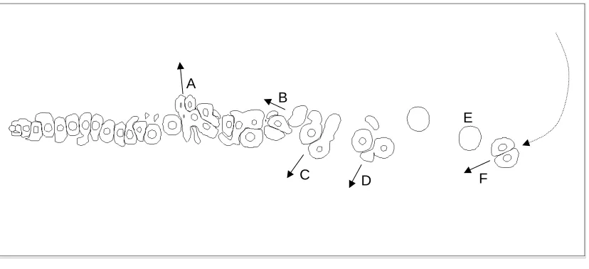 Figure 5.Vorticity contours for Re=1000 at τ=86.40 using the vorticity redistribution method.