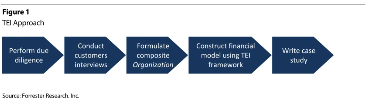Figure 1  TEI Approach 