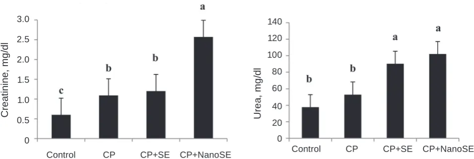 Fig. 1. Effect of selenium and nano-selenium on cisplatin-induced kidney dysfunctions