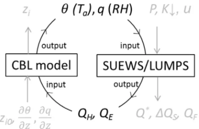 Fig. 2. Core structure with forcing input data (grey) and output (grey) from the coupled CBL model and SUEWS/LUMPS models linked via h, q, Q H and Q E 