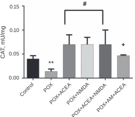Fig. 5. The effect of ACEA and NMDA on the MDA level in PC12 cells treated with paraoxon