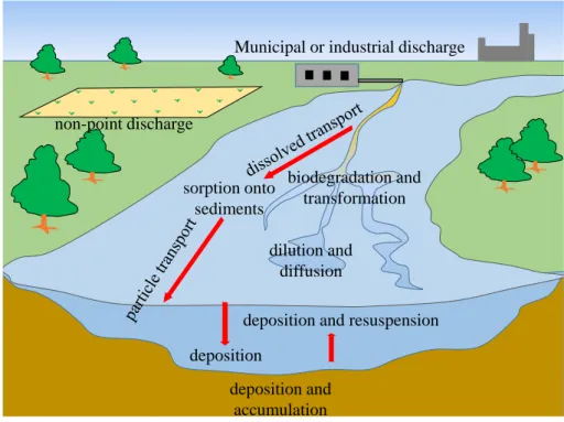 Figure 1.3: Stream processes in SWAT (modified from Neitsch et al., 2011)