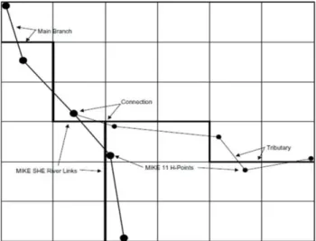 Fig. 5. MIKE 11 branches and H-points in a MIKE-SHE Grid with River Links [4]. 