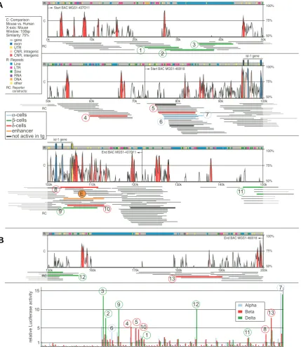 Fig. 2. Reporter library for the 200kb Isl1 genomic region. (A) Analysis of the murine and 32 constructs contain mouse genomic DNA derived from the BAC clones but could not be mapped unambiguously due to repetitive sequencesnormalized to the mean of the li