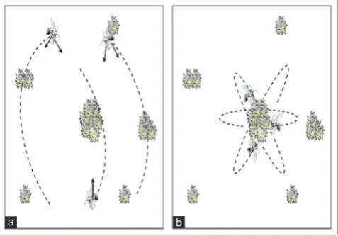 Fig. 1: Bees search process in a field, (a) bees search for location of the most flowers, (b) bees attract to the high concentration area