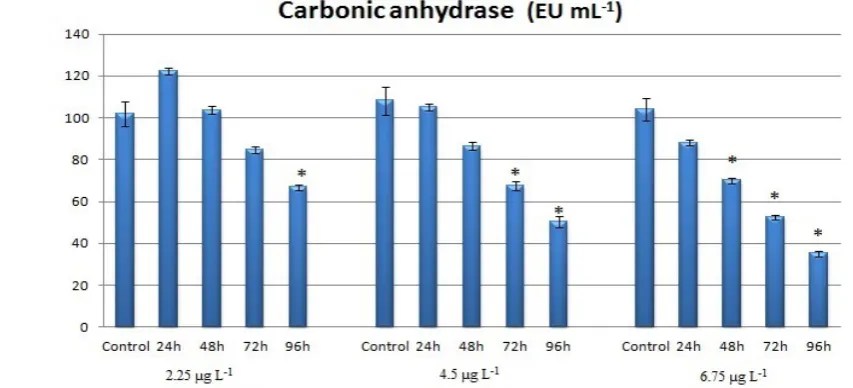 Figure 2 The effects of chlorpyrifos on gill carbonic anhydrase enzyme activity of rainbow trout