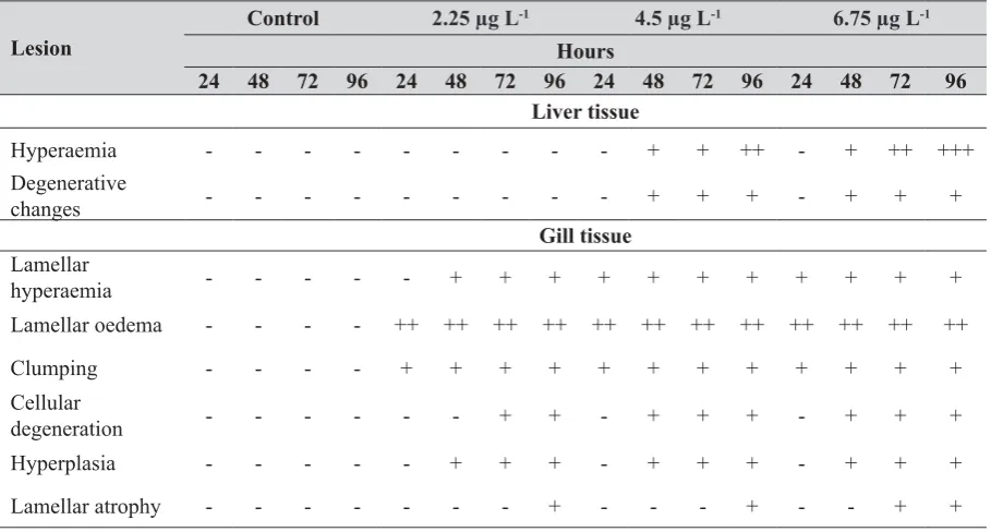Table 1 Histopathological comparison of control and experimental groupsnone:−, mild:+, moderate:++ and severe:+++