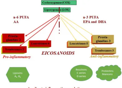 Figure 2 Further breakdown of fatty acid metabolites and the conversion of eicosanoids to pro- and anti-inflammatory products and their roles in the resolution of inflammation