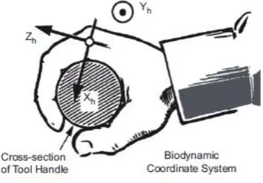 Fig 4. Axes of the acceleration components, ISO 5349-2001[22]  