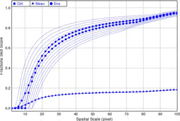 Fig. 5. Ensemble FSS (circle symbol), control FSS (square symbol), ensemble mean FSS (triangular symbol) and FSSs from other ensemble members (dash lines) against spatial scales in the idealised experiment.
