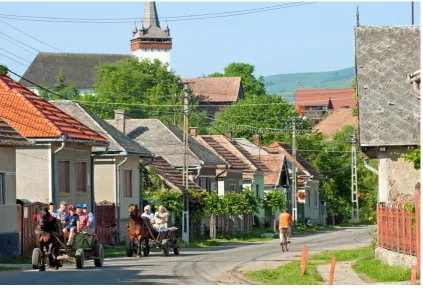 Figure 3: Sâncraiu – villagescape, 2014 