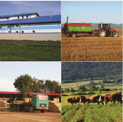 Figure 2: Lemnia – evidence of market-oriented economic practices: the slaughterhouse (top left of the picture), tractor at work (top right of the picture), the wood processing plant (bottom left of the picture), extensive cattle breeding (bottom right of the picture) 