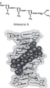Figure 9  Aureolic acid group of antineoplastic compounds [adapted from (66)]