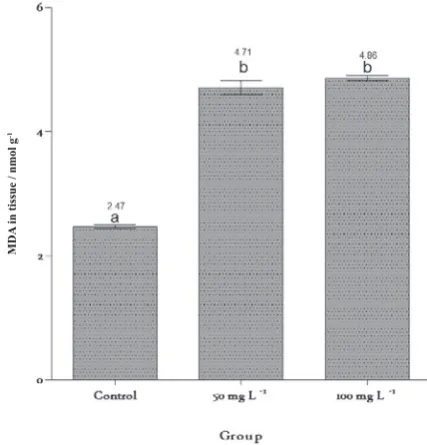 Figure 3  Plasma lipid hydroperoxide concentrations in rats exposed to ﬂ uoride vs. controls