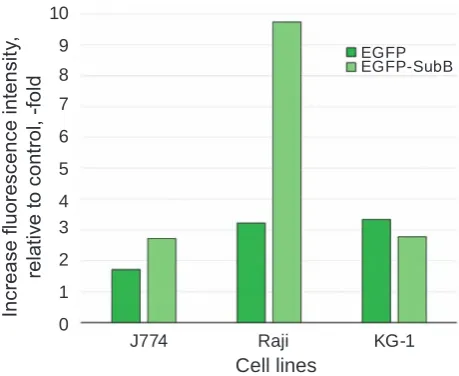 Fig. 1. Fluorescence intensity of Raji, J774, kG-1 cells stained with eGFP-SubB or eGFP, relative to control (unstained cells)
