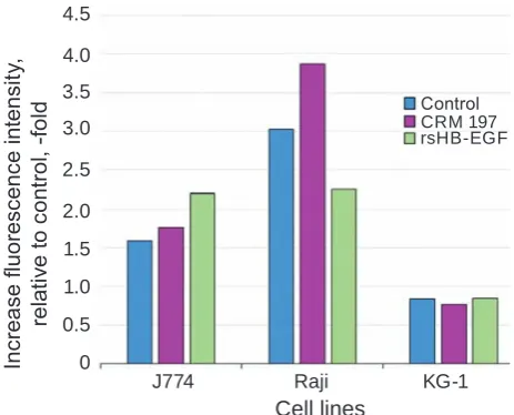 Fig. 5. Fluorescence intensity of Raji, J774 and kG-1 cells stained with eGFP-SubB, relative to control (cells stained with eGFP), in the presence of recombinant proteins: nontoxic analogue of diph-theria toxin CRm197 or analogue of soluble form of hB-eGF – rshB-eGF