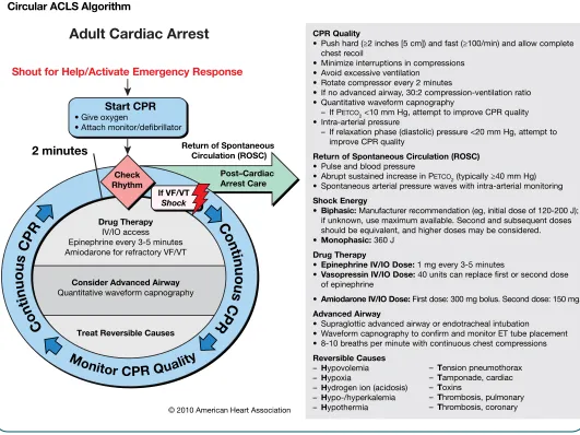 Figure 4Circular ACLS Algorithm
